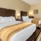 Comfort Inn & Suites - Triadelphia