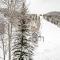 Double Diamond Ski-in/Ski-out Chalet