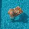 Agava Lux Rooms&Pool - Split