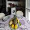 STUDIO EN DUPLEX , FACE A LA MER STUDIO EN DUPLEX , FACE A LA MER
