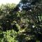 Treehouse Cottage - The Crags