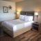 Best Inn Texas - Levelland