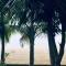 Aminvilla resort
