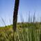 Farm Stay - Tweed Coast Holidays®