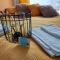 Apartament Wągrowiec, Gabi - Remigiusz Kiszka - 翁格罗维茨