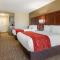 Comfort Inn and Suites Tifton