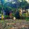 Jungle House