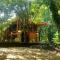 Jungle House