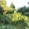 Karu Holiday Home