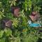 Villa Mahadevi Jungle Retreat Joglo 2