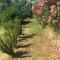 Cinque Terre, Tuscany, Liguria, Lerici, apartment 1