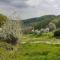 Odenwald Lounge - ehemals Ferienhaus Bergblick - Reichelsheim