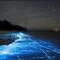 Coral Castle - Goidhoo Maldives - با أتول