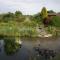 Pointers Guest House - Wistow