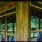Gorilla Hills Eco-lodge