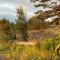 Cabañas Lodge Patagonia truful
