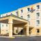 Comfort Inn Mechanicsburg - Harrisburg South - Меканіксберґ