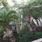 BlueBelize B&B