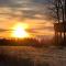 Treehouse Magpies Nest with bubble pool - Avesta