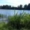 Tiny hut in the forest overlooking the river - Avesta