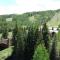 Ski In, Ski Out Studio Condo In The Heart Of Lionshead Village With Hot Tub And Pool Access