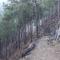 Vista Cottage Solan