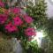 Cherry Garden Homestay