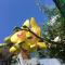 Cherry Garden Homestay