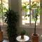 Plaza Goya Rooms