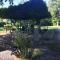 Agriturismo Borgo Madonna degli Angeli - charming cottages in the gardens 