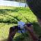 Lo de Lily