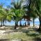 Anajawan Island Beachfront Resort - 卢纳将军城