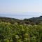 Villa Alexandros