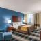 Comfort Inn & Suites - Montrose Hill