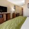 Comfort Inn & Suites North - Albuquerque