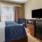 Comfort Inn & Suites North - Albuquerque
