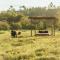Glamping Entre Rios - 卡拉尔卡
