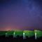 Marlborough Magic - Rapaura Holiday Home