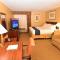 Holiday Inn Express Hotel & Suites Fenton/I-44, an IHG Hotel - 芬顿