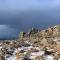 The Tors