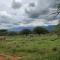 Oldonyo Orok Lodge - Kajiado
