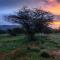 Oldonyo Orok Lodge - Kajiado