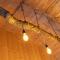 Camping und Chalet Saggraben