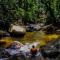 Vista Alegre Ecoaventuras, trilhas e cachoeiras - 帕拉蒂