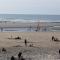 Les Obiones, vue latérale mer, Fort Mahon Plage, magnifique studio cabine 4p, avec balcon , parking privé gratuit, wifi, classé 2 étoiles, exposition plein sud en Baie de Somme