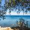Seafront Studio with direct beach access - Koroni