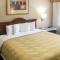 Quality Inn & Suites Oceanside Near Camp Pendleton