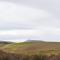 The Milking Sheds, Dufftown - Dufftown