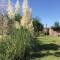 La Soleada casas de campo