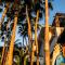 Cabo Surf Hotel Foto: Cabo Surf Hotel